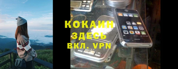 винт Майский