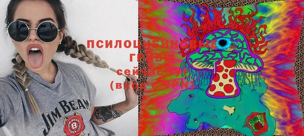 винт Майский