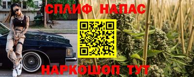 ECSTASY Аргун