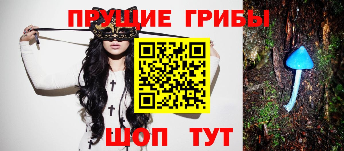 Галлюциногенные грибы GOLDEN TEACHER Братск
