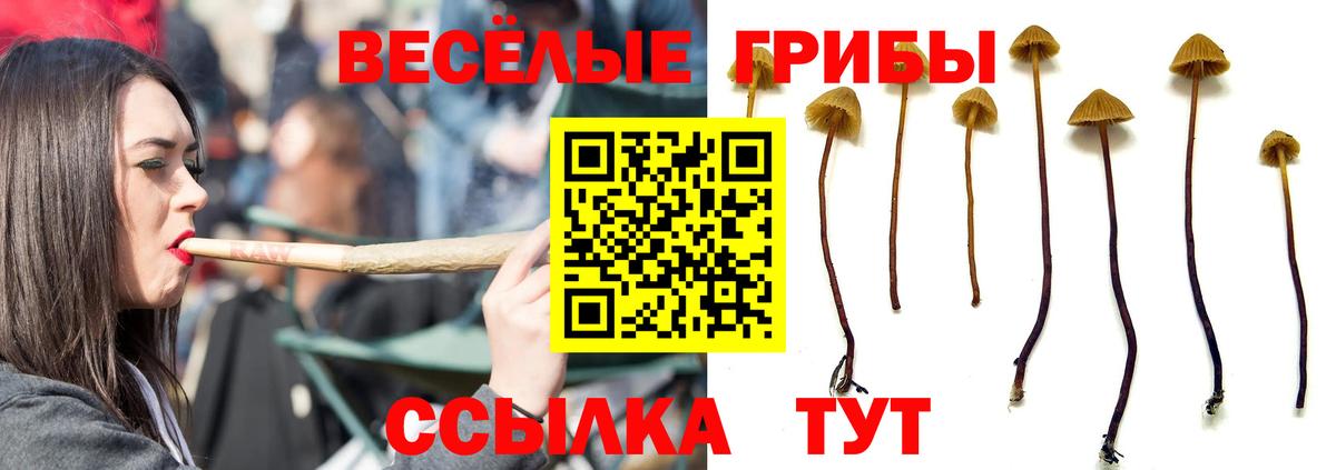 Псилоцибиновые грибы GOLDEN TEACHER Братск
